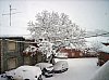20081215-100.JPG 20081215-100.JPG