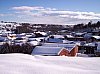 20081215-106.JPG 20081215-106.JPG