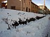 20081215-124.JPG 20081215-124.JPG