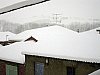 20081215-144.JPG 20081215-144.JPG