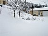 20081215-150.JPG 20081215-150.JPG