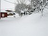 20081215-156.JPG 20081215-156.JPG