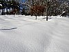 20081215-192.JPG 20081215-192.JPG