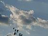 200908_cielo-3.JPG 200908_cielo-3.JPG