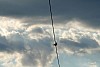 200908_cielo-4.JPG 200908_cielo-4.JPG