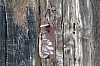 200908_pueblo-20.JPG 200908_pueblo-20.JPG