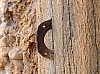 200908_pueblo-21.JPG 200908_pueblo-21.JPG