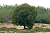 200908_pueblo-6.JPG 200908_pueblo-6.JPG