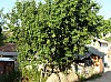200908_pueblo-7.JPG 200908_pueblo-7.JPG