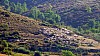 200908_valle-15.JPG