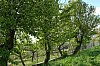 abril 2011 paseo 53.jpg abril 2011 paseo 53.jpg