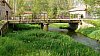 abril 2011 paseo 63.jpg abril 2011 paseo 63.jpg