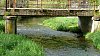 abril 2011 paseo 64.jpg abril 2011 paseo 64.jpg