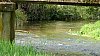 abril 2011 paseo 65.jpg abril 2011 paseo 65.jpg