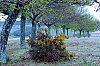 abril 2011 paseo 1.jpg abril 2011 paseo 1.jpg