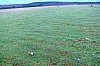 abril 2011 paseo 2.jpg abril 2011 paseo 2.jpg