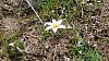 abril 2011 paseo 45.jpg abril 2011 paseo 45.jpg