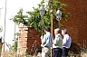 20120816 procesion 9.jpg 20120816 procesion 9.jpg