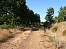 20120818 camino astorga 15.jpg 20120818 camino astorga 15.jpg