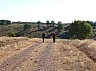 20120818 camino astorga 19.jpg 20120818 camino astorga 19.jpg
