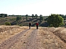 20120818 camino astorga 19.jpg