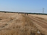 20120818 camino astorga 24.jpg 20120818 camino astorga 24.jpg