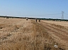 20120818 camino astorga 24.jpg