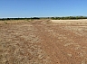 20120818 camino astorga 27.jpg