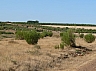 20120818 camino astorga 28.jpg