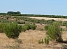 20120818 camino astorga 29.jpg 20120818 camino astorga 29.jpg