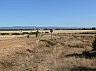 20120818 camino astorga 36.jpg