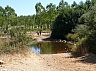 20120818 camino astorga 60.jpg