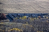 Riofrio 13.jpg Riofrio 13.jpg