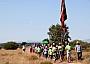 20180819_94.jpg 20180819_94.jpg