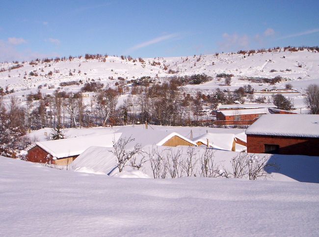20081215-108.JPG