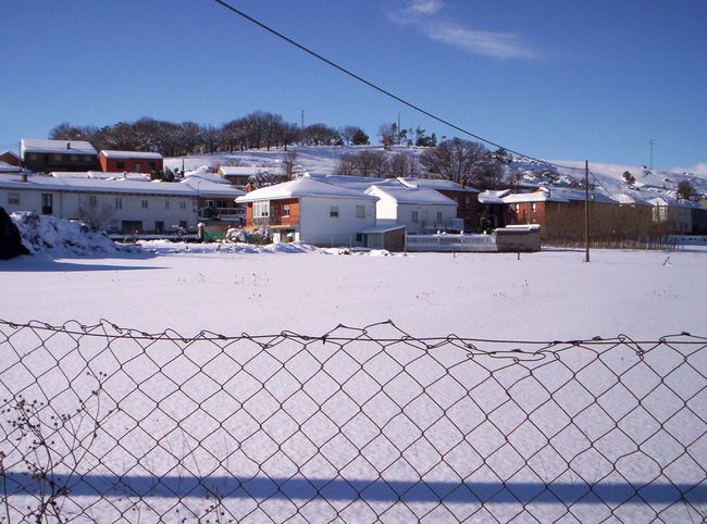 20081215-127.JPG