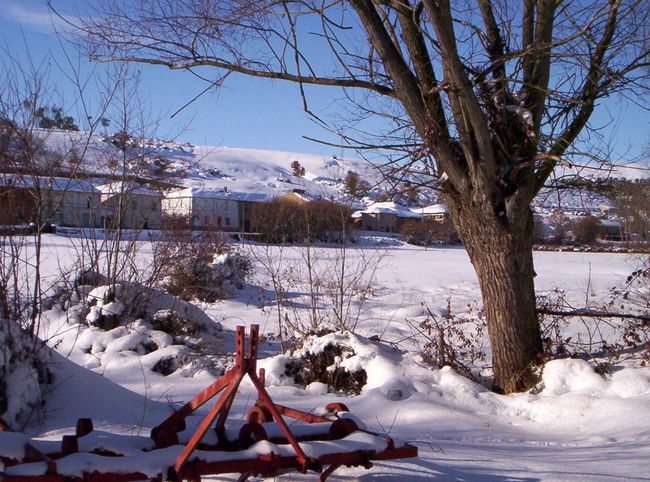 20081215-132.JPG