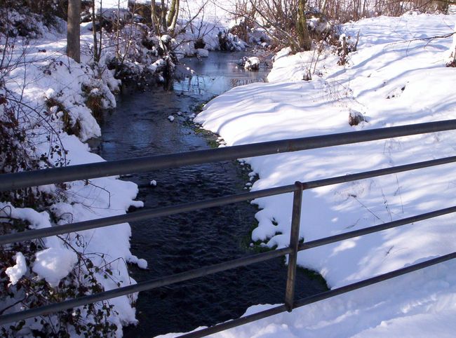 20081215-136.JPG