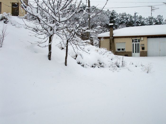 20081215-150.JPG