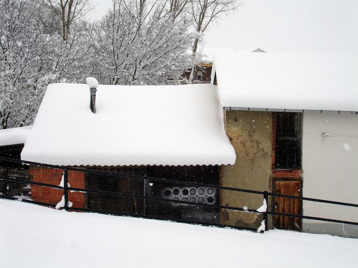 20081215-157.JPG