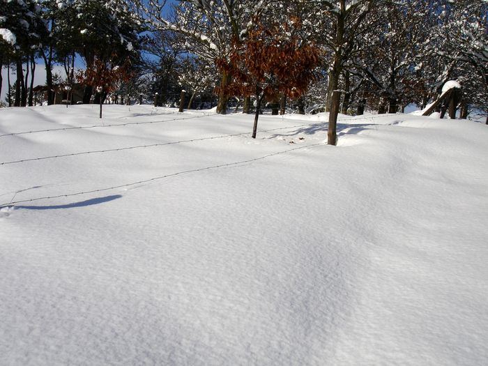 20081215-192.JPG