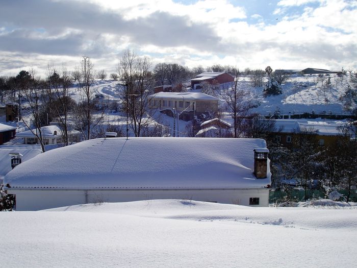 20081215-193.JPG