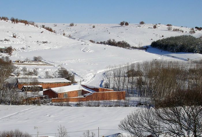 20081215-203.jpg