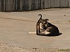 P1200448.JPG