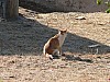 P1200470.JPG