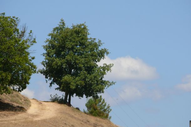 200908_pueblo-3.JPG