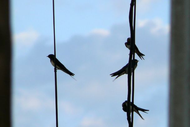 200908_pueblo-4.JPG