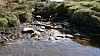 200908_valdevela-1.JPG