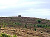 200908_valdevela-12.JPG