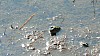 200908_valdevela-5.JPG